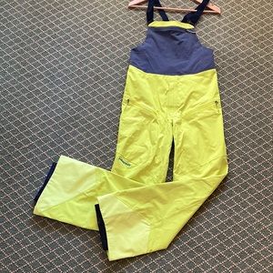 Patagonia Ski Bib